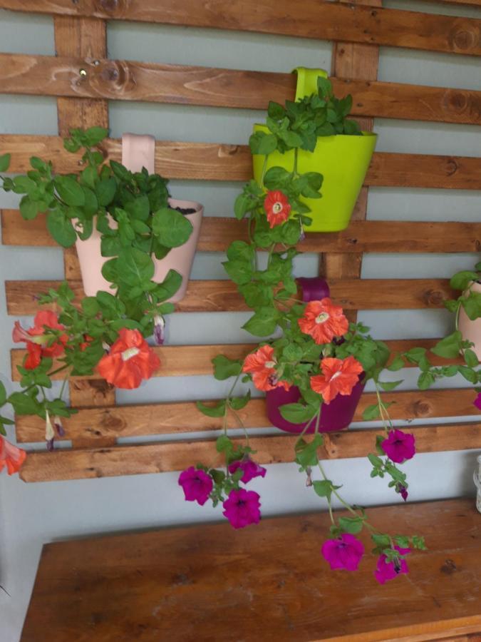 Planinska Kuca Dusan Mitrovac Ngoại thất bức ảnh