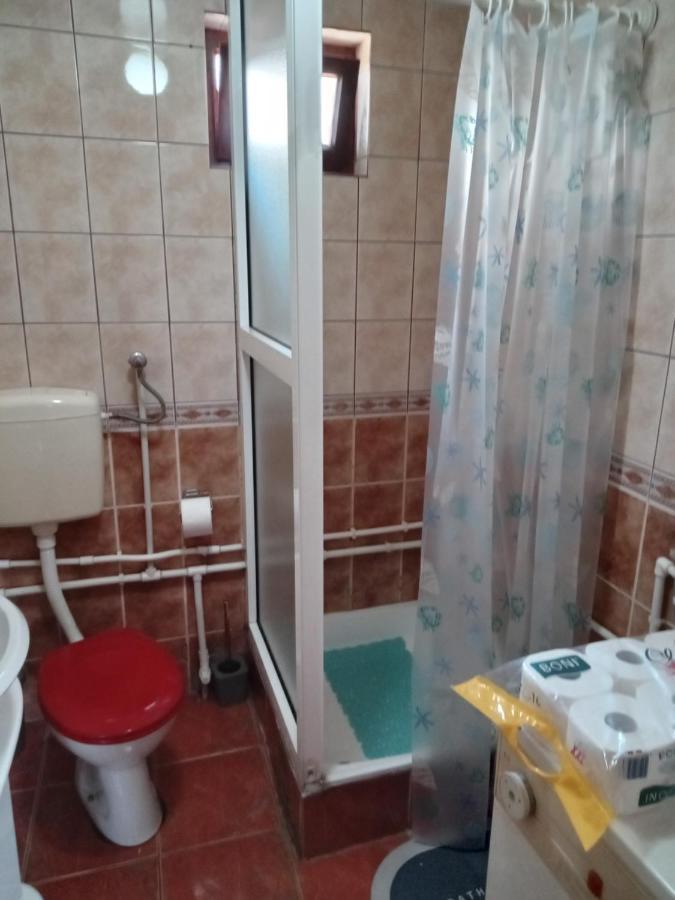 Planinska Kuca Dusan Mitrovac Ngoại thất bức ảnh